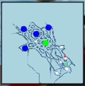 Zur Orientierung: Vom grünen dicken Punkt aus geht es jeweils zu den drei blauen Checkpoints